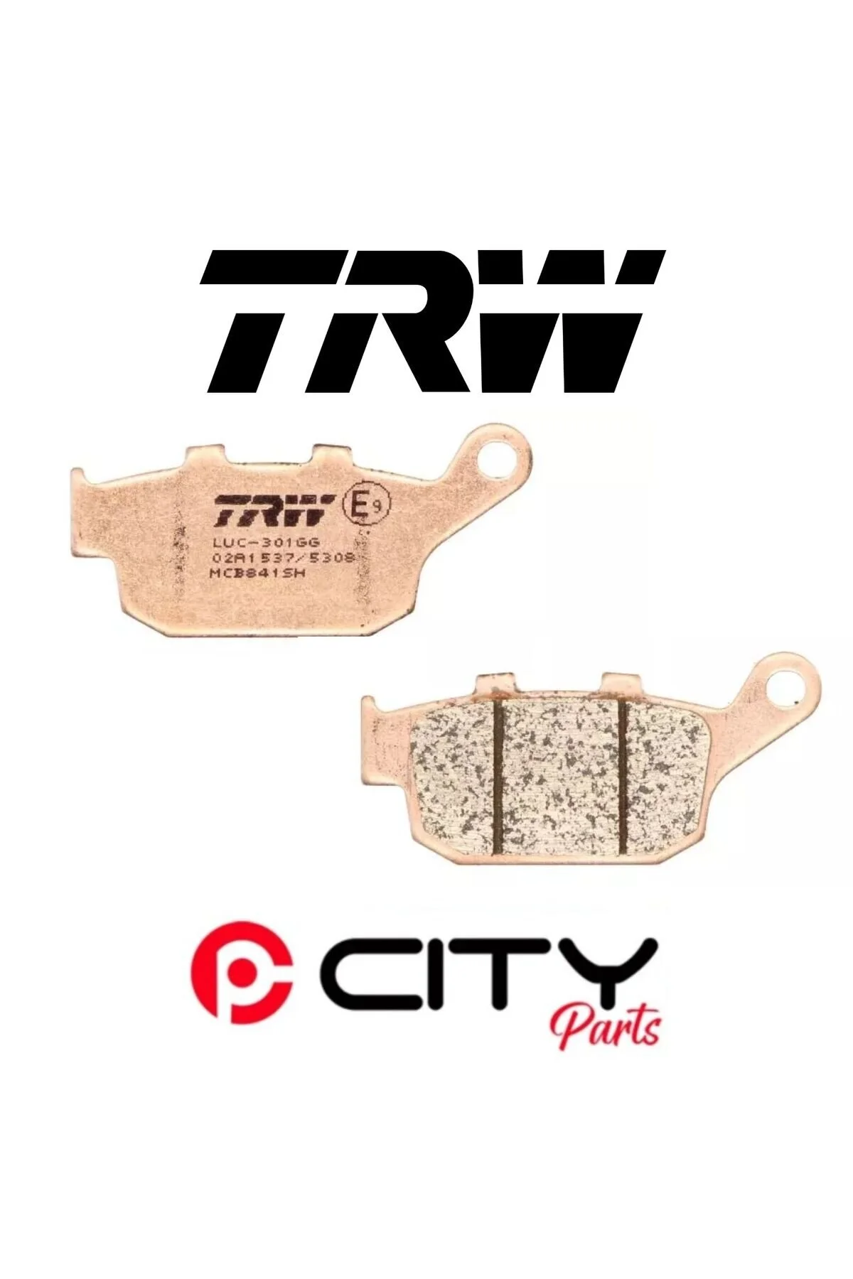 Trw Tvs Apache Rtr 200 2015-2024 Arka Fren Balatası sinterli Ct2748